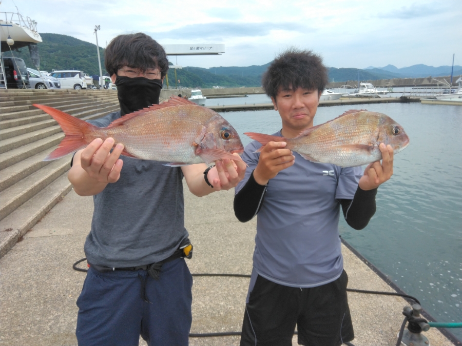 ヒラマサ マハタ等